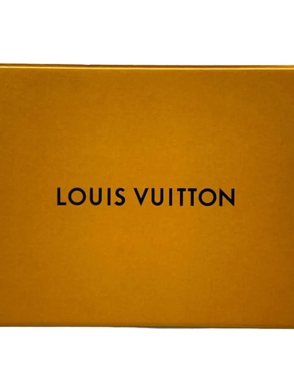 LOUIS VUITTON M75704 Light Blue AB0198 Scarf Cashmere